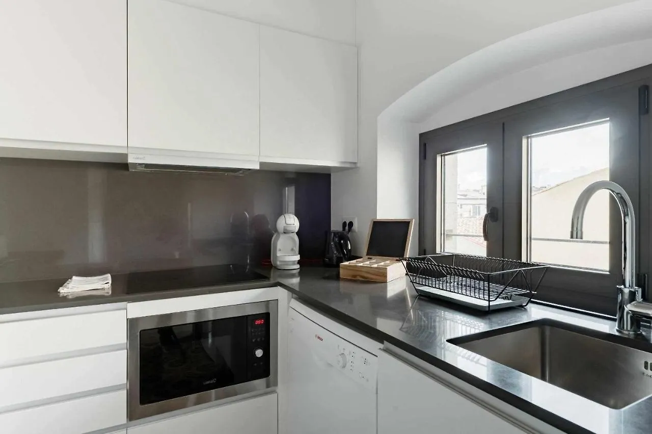 Revitalized Apartment In Historical Building Girona