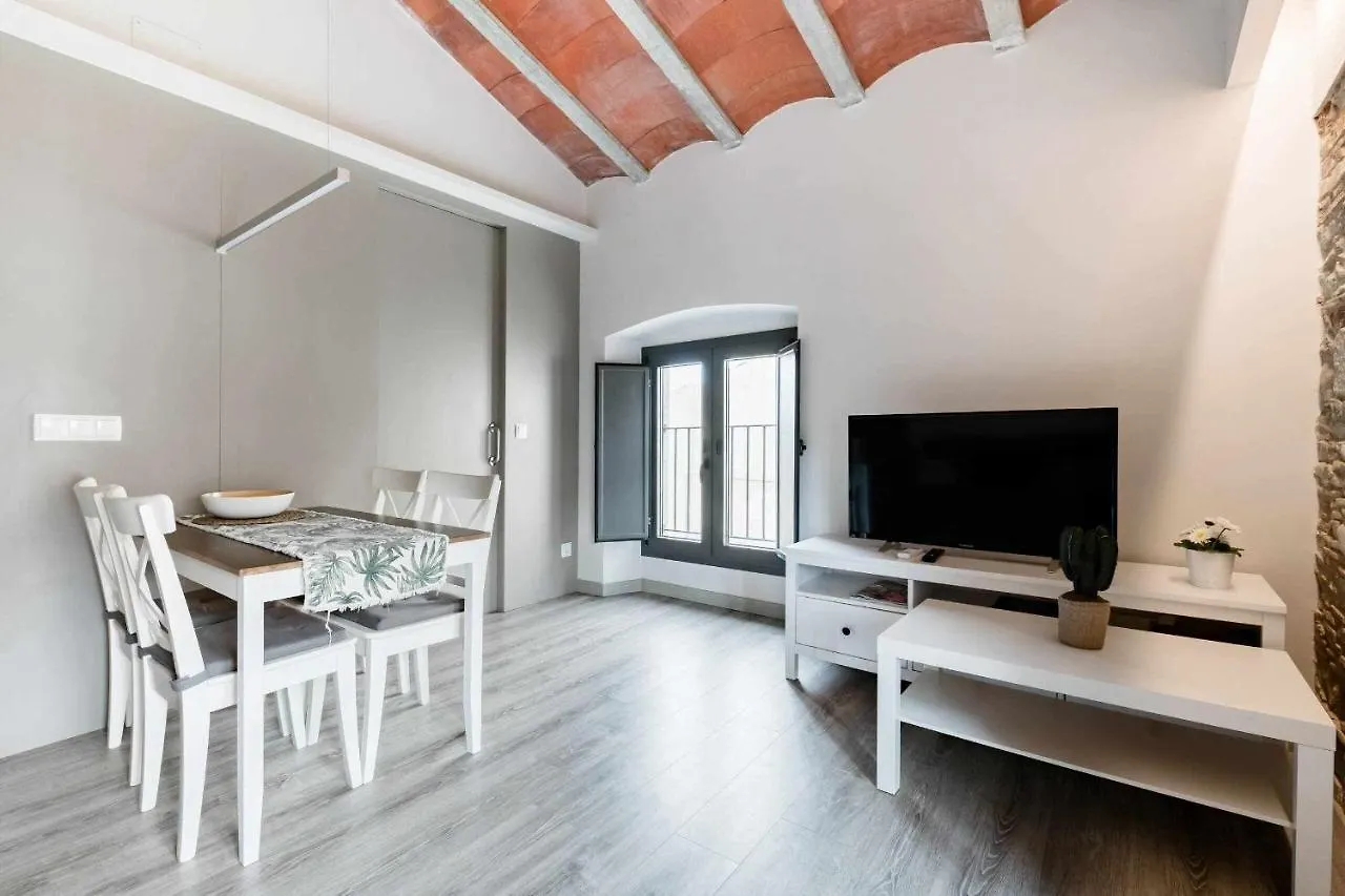 Revitalized Apartment In Historical Building Girona 0*,